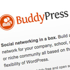 ThemeForest’s New Buddy: BuddyPress