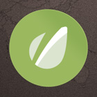 Where in the World is the Envato Logo Contest