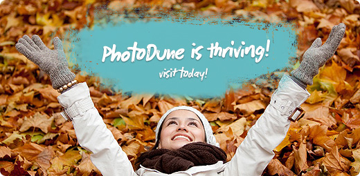 PhotoDune Continues to Rock